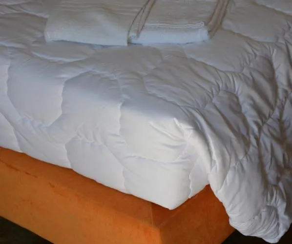 Butterfly ゲストハウス