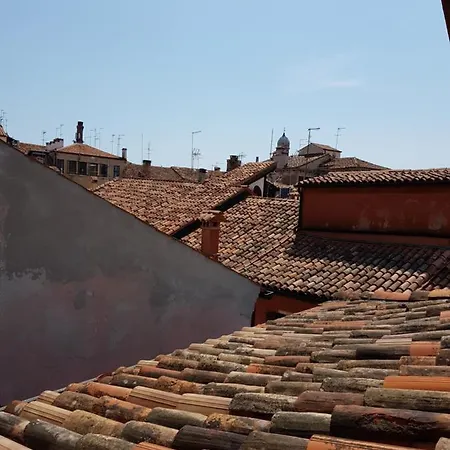 Butterfly Venedig